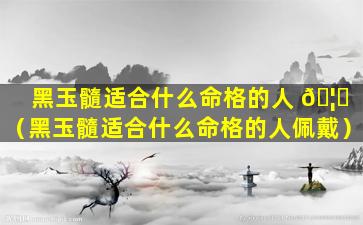 黑玉髓适合什么命格的人 🦋 （黑玉髓适合什么命格的人佩戴）